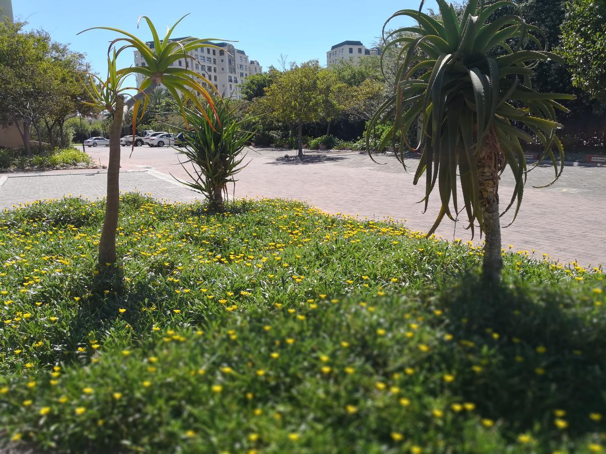 Majorca Apartments By Bon Hotels Cape Town Dış mekan fotoğraf